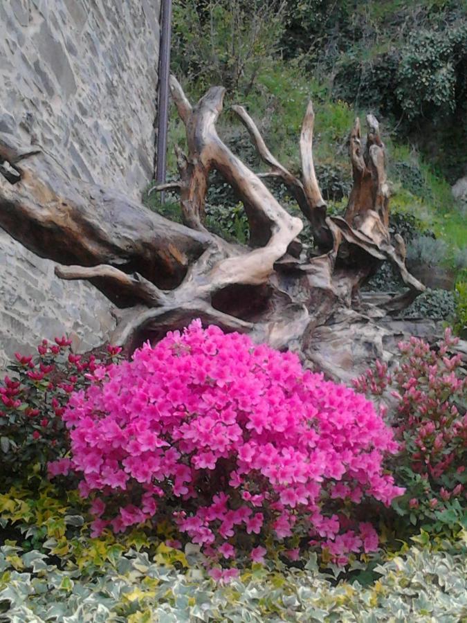 O Paxar Samos Exterior foto