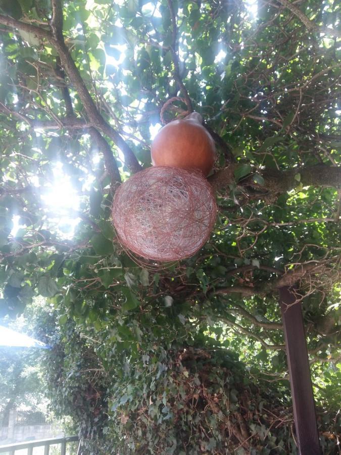 O Paxar Samos Exterior foto